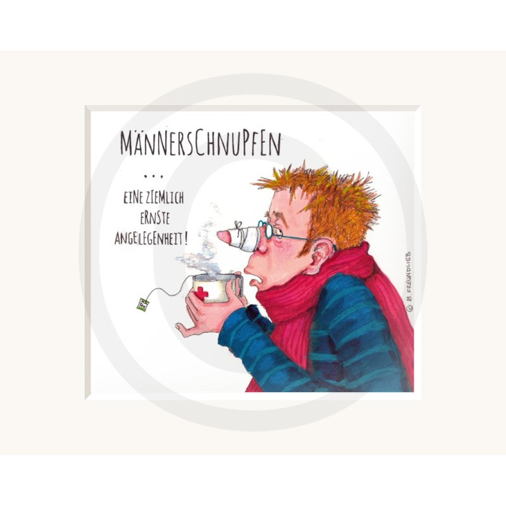 Passepartout B. Freundlieb Männerschnupfen Passepartout B. Freundlieb Männerschnupfen