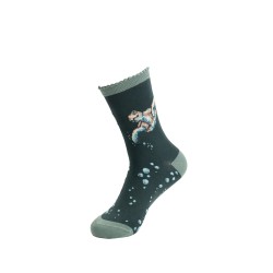 Motivsocken - Schildkröte - Wrendale Designs - Damensocken - 37-42