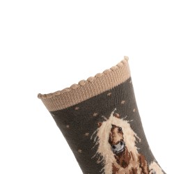 Motivsocken - Pony - Wrendale Designs - Damensocken - 37-42