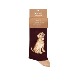 Motivsocken - Labrador - Wrendale Designs - Herrensocken - 41-46