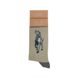 Motivsocken - Hund - Wrendale Designs - Herrensocken - 41-46