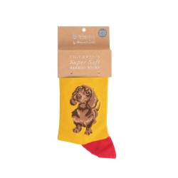 Motivsocken - Dackel - Wrendale Designs - Kindersocke - 27-31