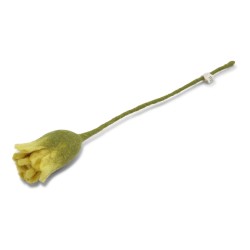 Gry & Sif Tulpe, Gelb Gry & Sif Tulpe, Gelb