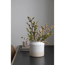 Gry & Sif  Beerenzweig