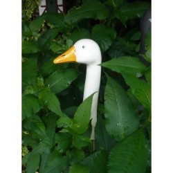 Gartenstecker Gänsehals weiß Gartenstecker Gänsehals weiß