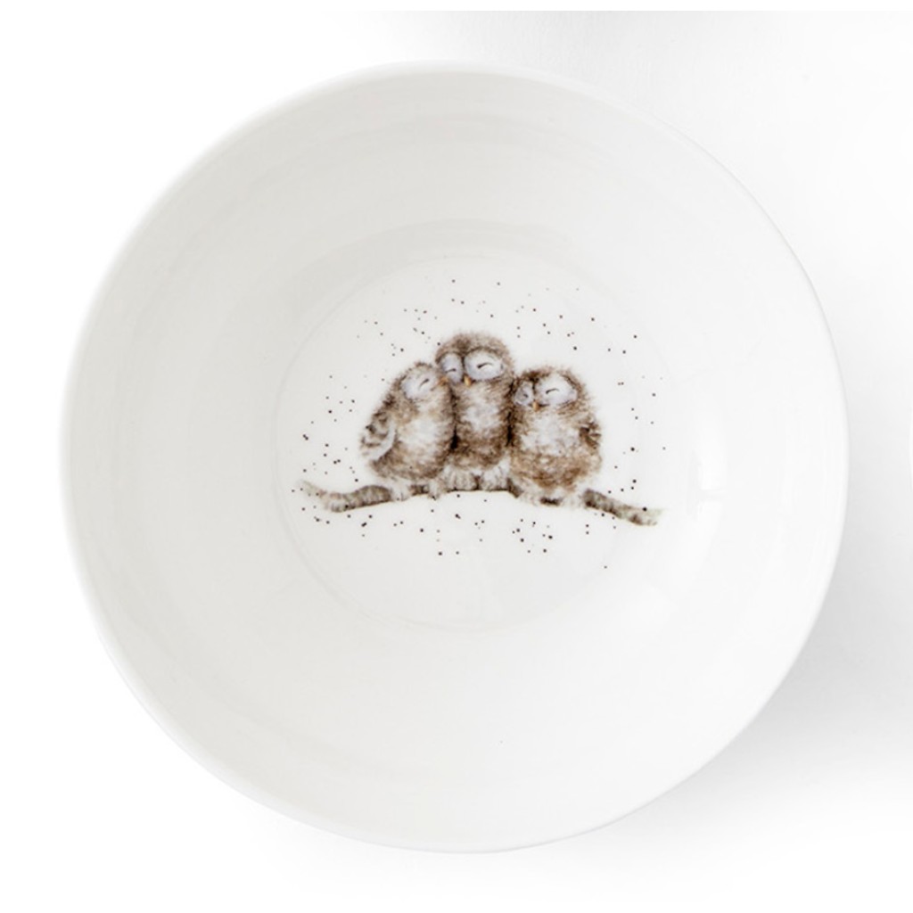 Royal Worcester Wrendale Design Müslischale,15 cm Eulen Royal Worcester Wrendale Design Müslischale,15 cm Eulen
