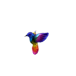 Christbaumschmuck - Hanco - Kolibri Christbaumschmuck - Hanco - Kolibri