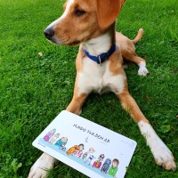 Geschenkideen für alle Teckel-Fans! 