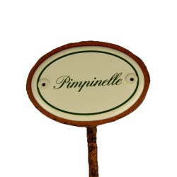 Kräuterschild Emaille Pimpinelle
