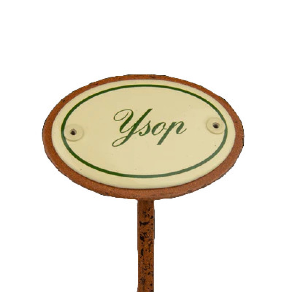 Kräuterschild Emaille Ysop Kräuterschild Emaille Ysop