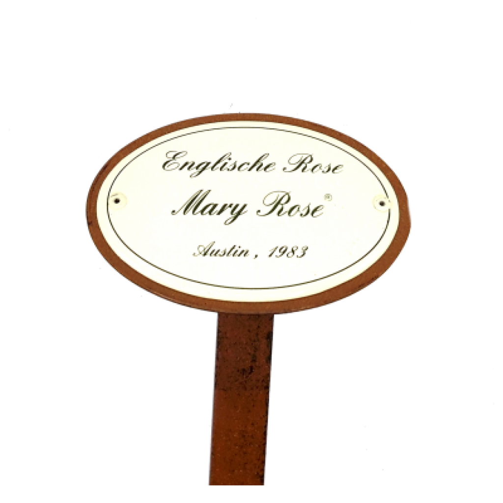 Rosenschild Emaille Mary Rose Rosenschild Emaille Mary Rose