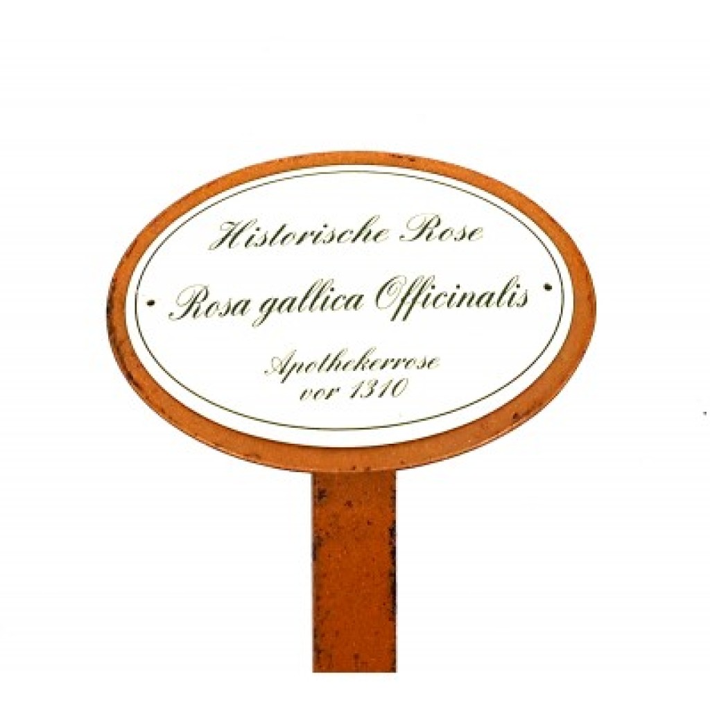 Rosenschild Emaille Apotherkerrose Rosenschild Emaille Apotherkerrose