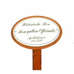 Rosenschild Emaille Apotherkerrose Rosenschild Emaille Apotherkerrose