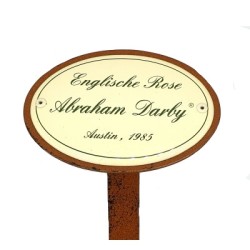 Rosenschild Emaille Abraham Darby Rosenschild Emaille Abraham Darby