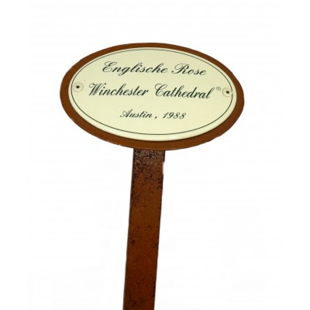 Rosenschild Emaille Winchester Cathedral Rosenschild Emaille Winchester Cathedral