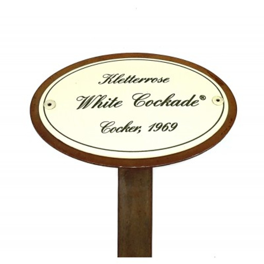 Rosenschild Emaille White Cockade Rosenschild Emaille White Cockade