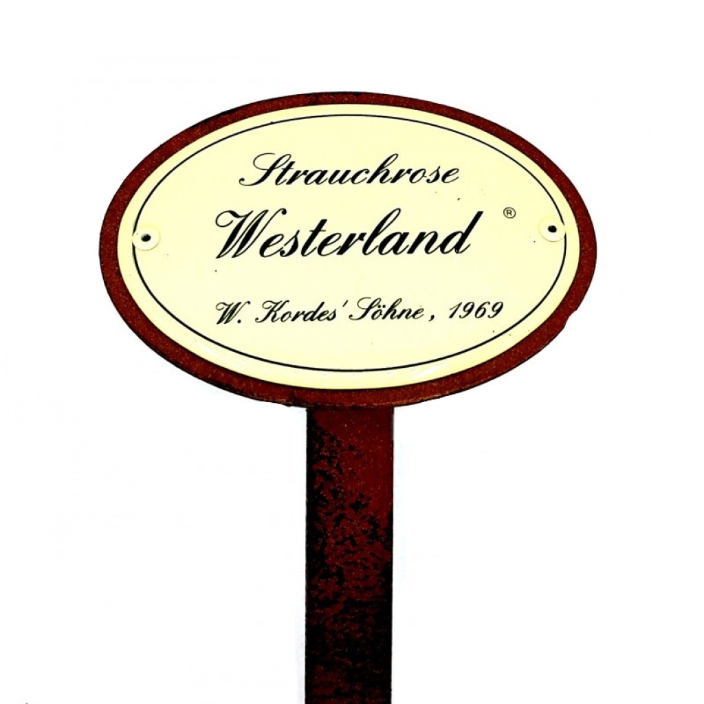 Rosenschild Emaille Westerland Rosenschild Emaille Westerland