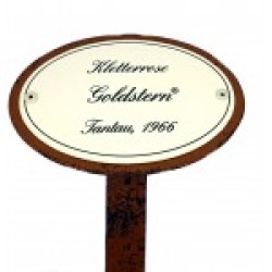 Rosenschild Emaille Goldstern Rosenschild Emaille Goldstern