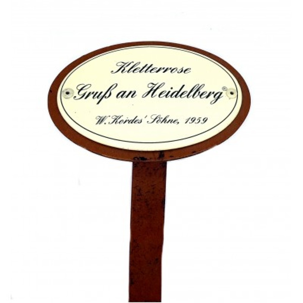 Rosenschild Emaille Gruß an Heidelberg Rosenschild Emaille Gruß an Heidelberg