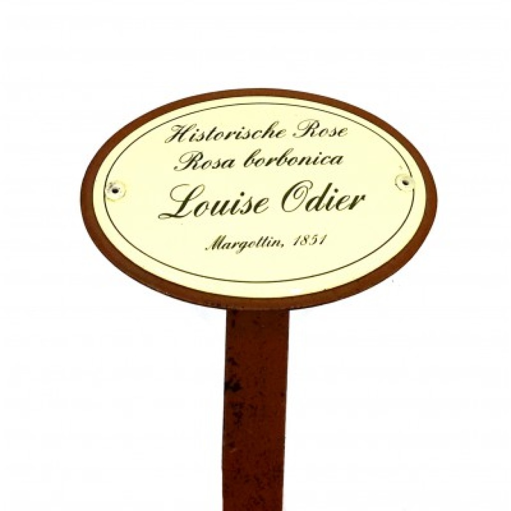 Rosenschild Emaille Louise Odier Rosenschild Emaille Louise Odier