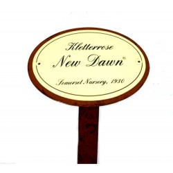 Rosenschild Emaille New Dawn Rosenschild Emaille New Dawn