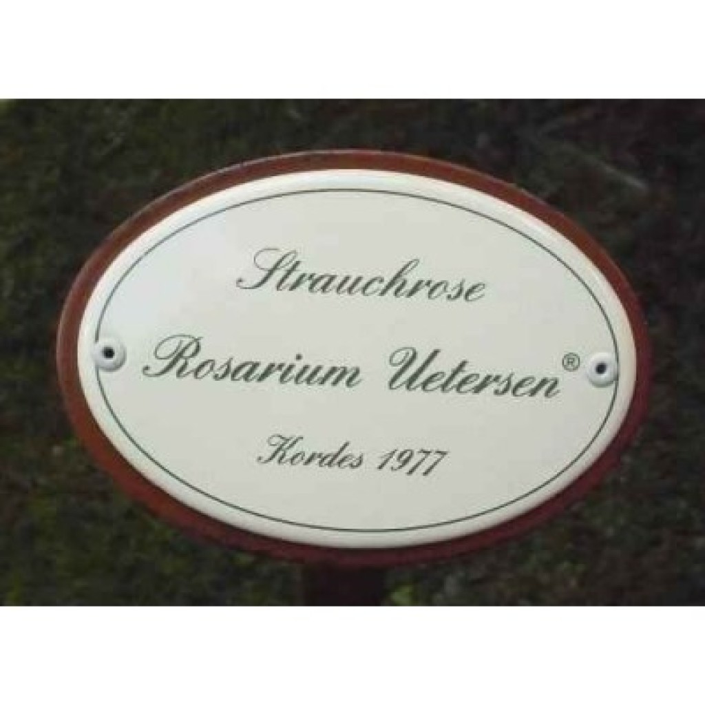 Rosenschild Emaille Rosarium Uetersen Rosenschild Emaille Rosarium Uetersen