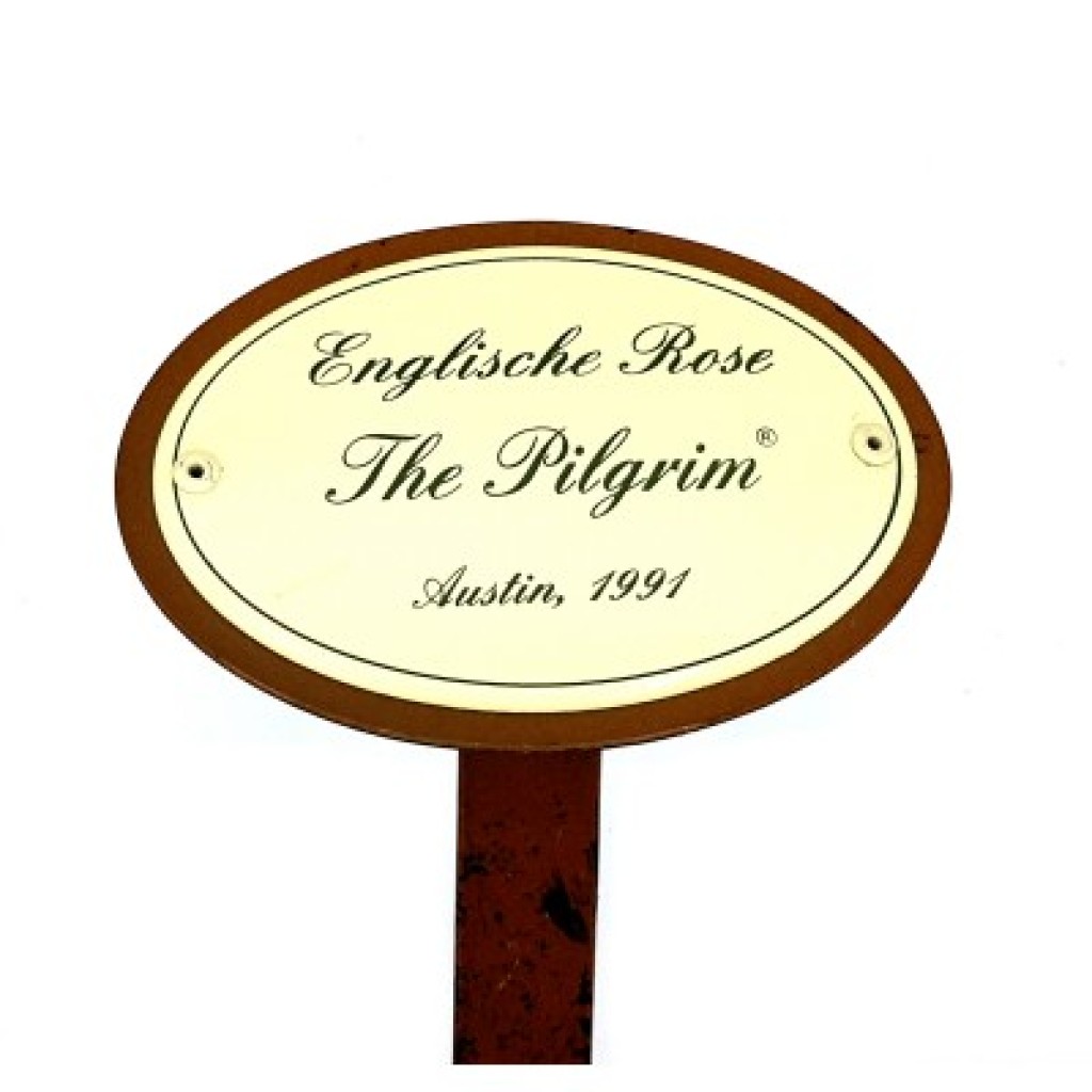 Rosenschild Emaille The Pilgrim Rosenschild Emaille The Pilgrim