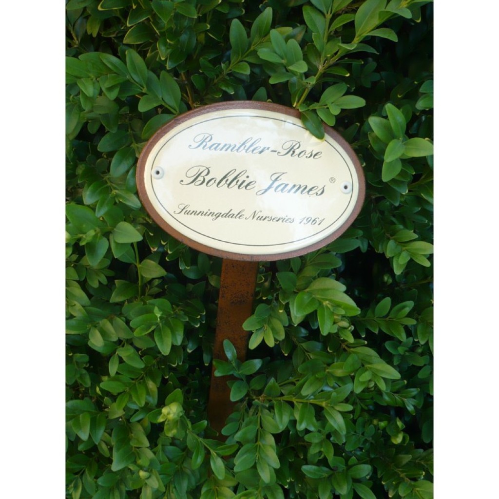 Rosenschild Emaille Bobbie James Rosenschild Emaille Bobbie James