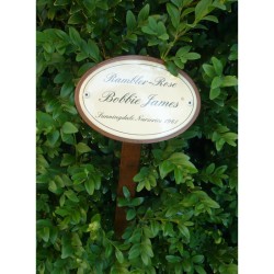 Rosenschild Emaille Bobbie James Rosenschild Emaille Bobbie James