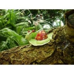 Gartendeko von Medusa Kleine Schnecke Gartendeko von Medusa Kleine Schnecke