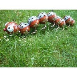 Medusa Windlicht Raupe Immersatt orange-braun Medusa Windlicht Raupe Immersatt orange-braun